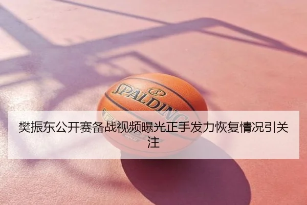 樊振东公开赛备战视频曝光正手发力恢复情况引关注