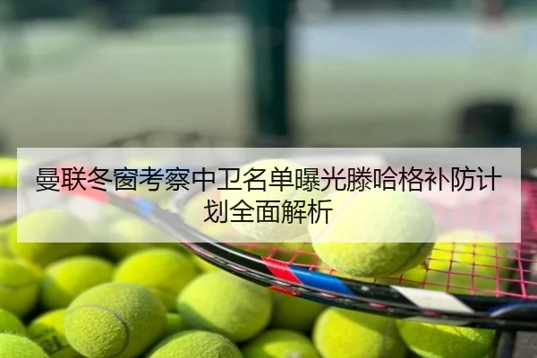曼联冬窗考察中卫名单曝光滕哈格补防计划全面解析
